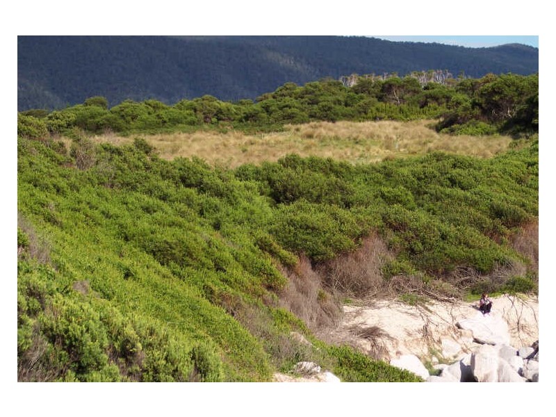 Lot 2 Forster Street, Seymour TAS 7215