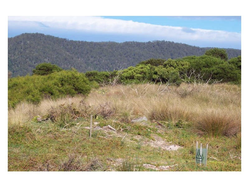 Lot 2 Forster Street, Seymour TAS 7215