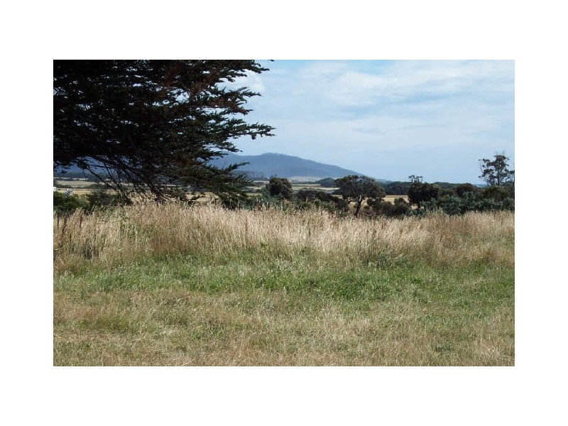 31 Champ Street, Seymour TAS 7215