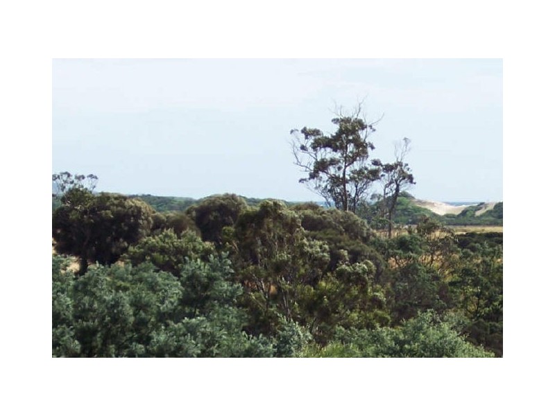 31 Champ Street, Seymour TAS 7215