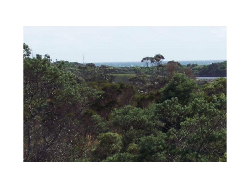 31 Champ Street, Seymour TAS 7215