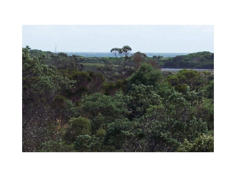 31 Champ Street, Seymour TAS 7215