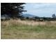 31 Champ Street, Seymour TAS 7215