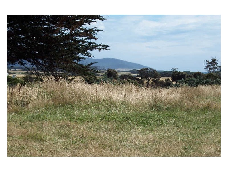 31 Champ Street, Seymour TAS 7215