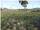 31 Champ Street, Seymour TAS 7215