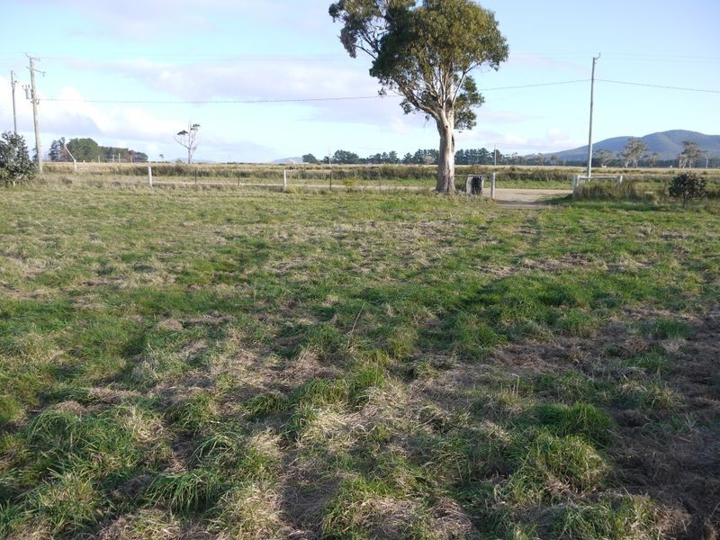 31 Champ Street, Seymour TAS 7215