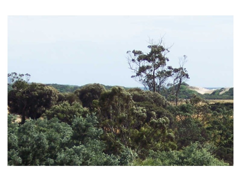 31 Champ Street, Seymour TAS 7215