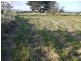 31 Champ Street, Seymour TAS 7215
