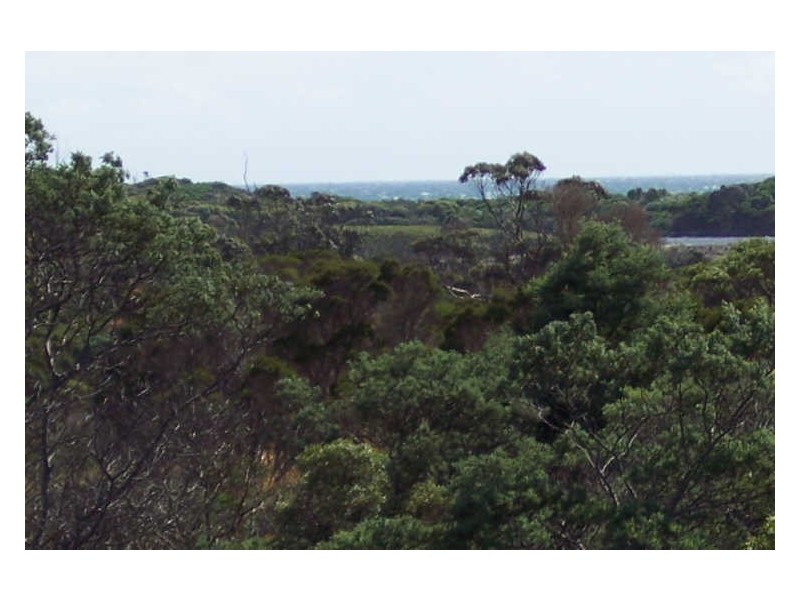 31 Champ Street, Seymour TAS 7215