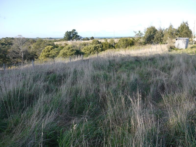 31 Champ Street, Seymour TAS 7215