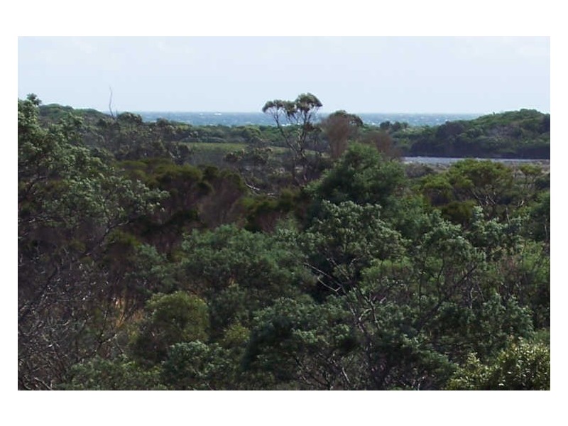 31 Champ Street, Seymour TAS 7215