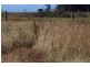 31 Champ Street, Seymour TAS 7215