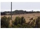 31 Champ Street, Seymour TAS 7215