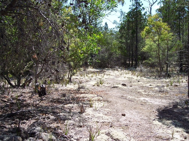 254 River and Rocks Road, Coles Bay TAS 7215