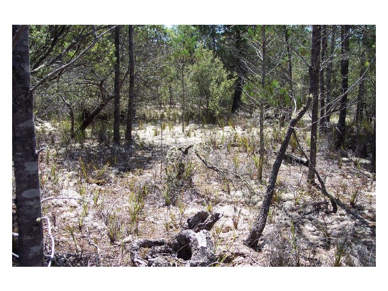 254 River and Rocks Road, Coles Bay TAS 7215