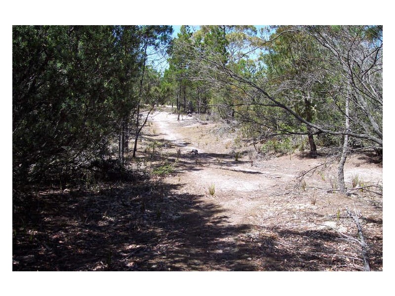 254 River and Rocks Road, Coles Bay TAS 7215