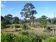 17 A Harveys Farm Road, Bicheno TAS 7215