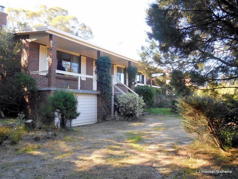 24 Harold St, Coles Bay TAS 7215