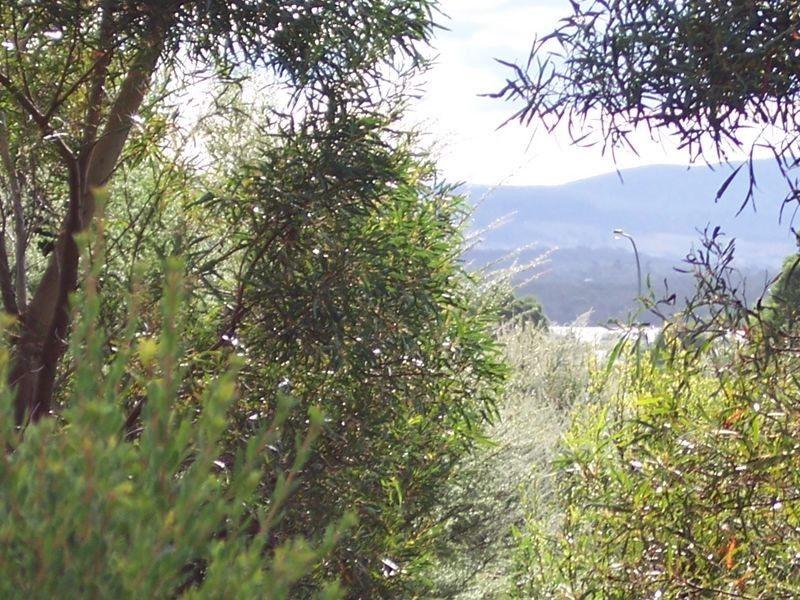 8 Hazards View Drive, Coles Bay TAS 7215