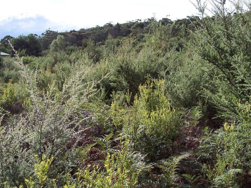 8 Hazards View Drive, Coles Bay TAS 7215