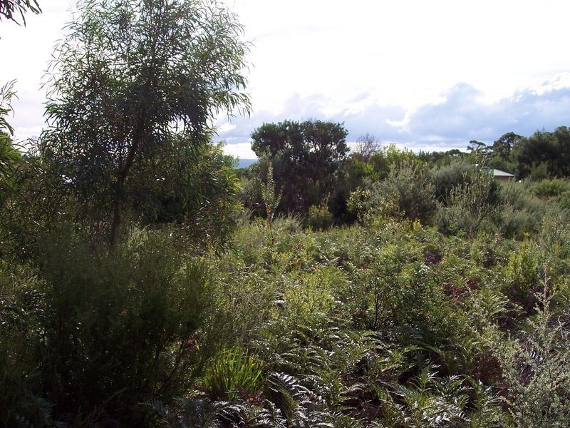 8 Hazards View Drive, Coles Bay TAS 7215