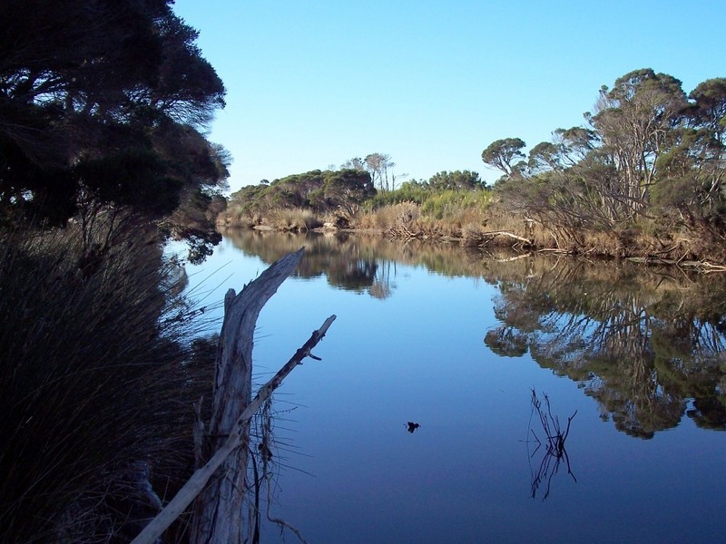 Tasman Highway, Seymour TAS 7215