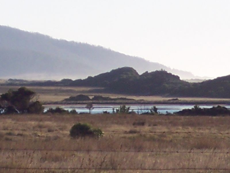 Tasman Highway, Seymour TAS 7215