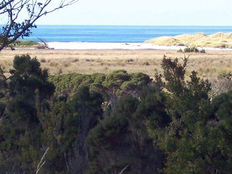 Tasman Highway, Seymour TAS 7215