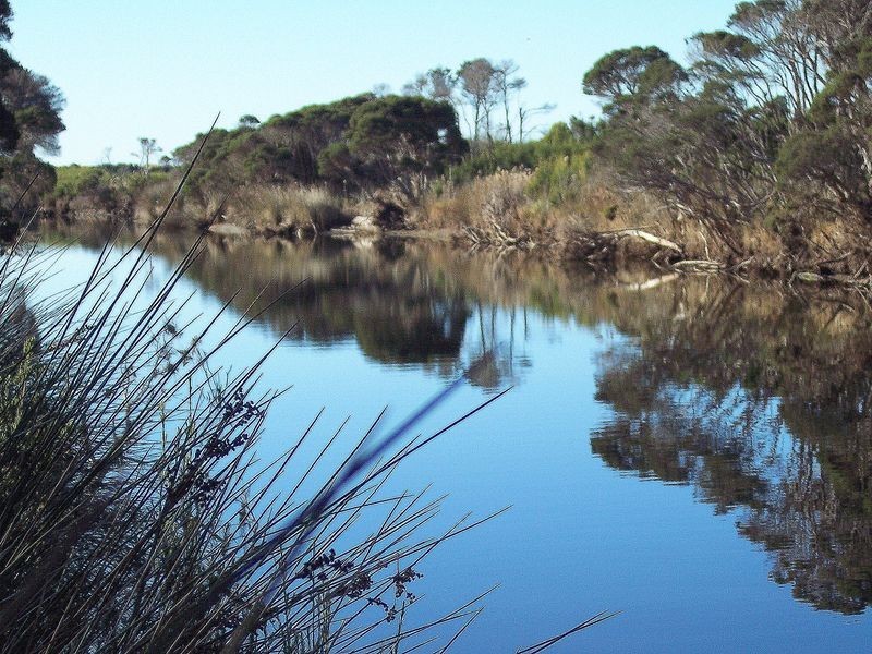 Tasman Highway, Seymour TAS 7215