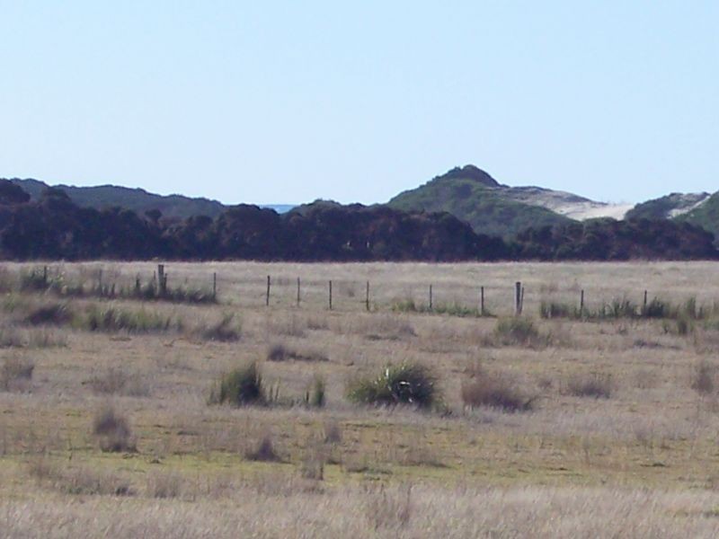 Tasman Highway, Seymour TAS 7215