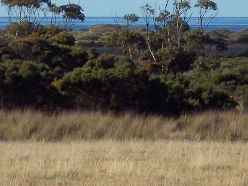 Tasman Highway, Seymour TAS 7215