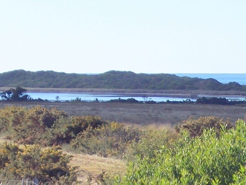 Tasman Highway, Seymour TAS 7215