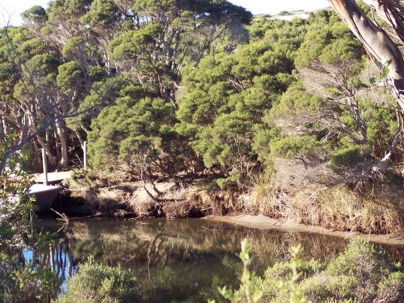 Tasman Highway, Seymour TAS 7215