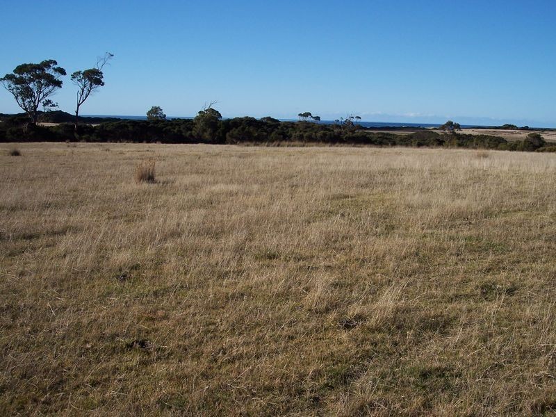 Tasman Highway, Seymour TAS 7215
