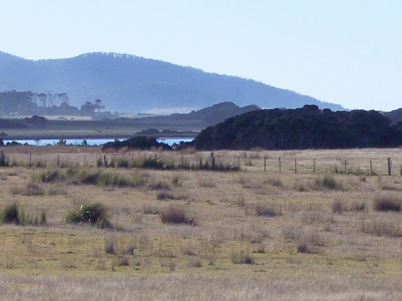 Tasman Highway, Seymour TAS 7215