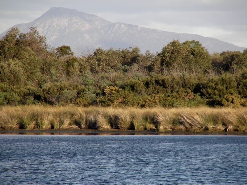 10 Yellow Sandbanks Road, Dolphin Sands TAS 7190