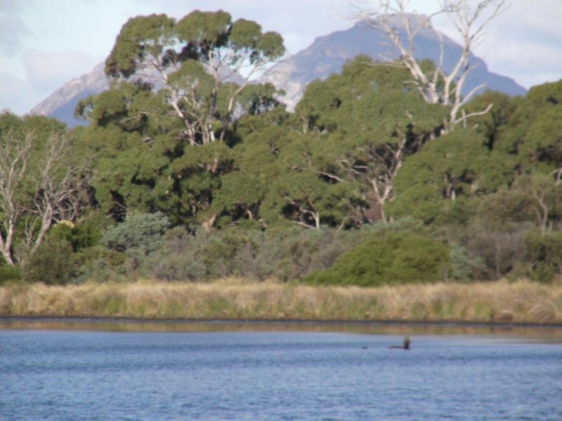10 Yellow Sandbanks Road, Dolphin Sands TAS 7190