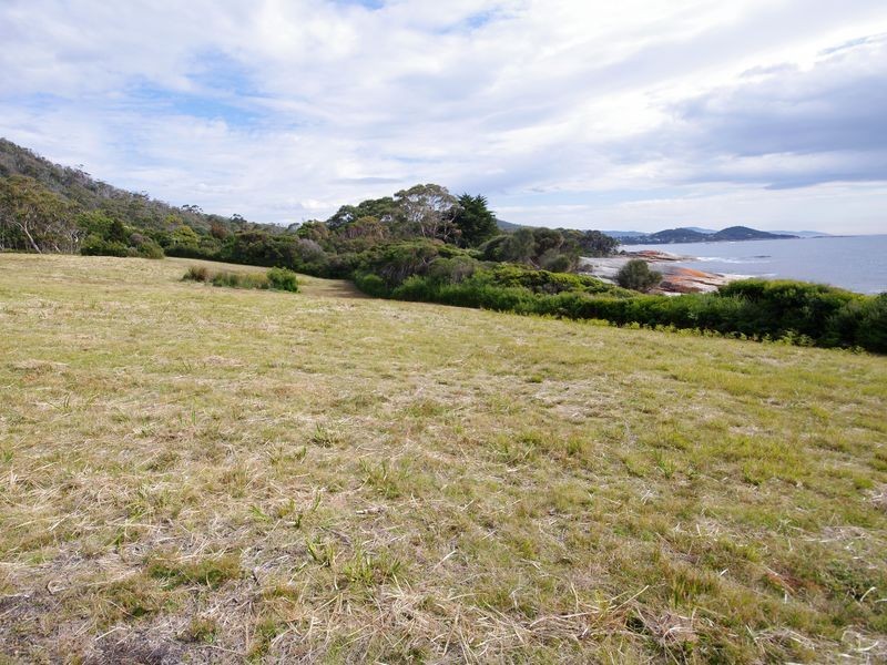 Lot 25 Harveys Farm Road, Bicheno TAS 7215