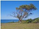 Lot 25 Harveys Farm Road, Bicheno TAS 7215