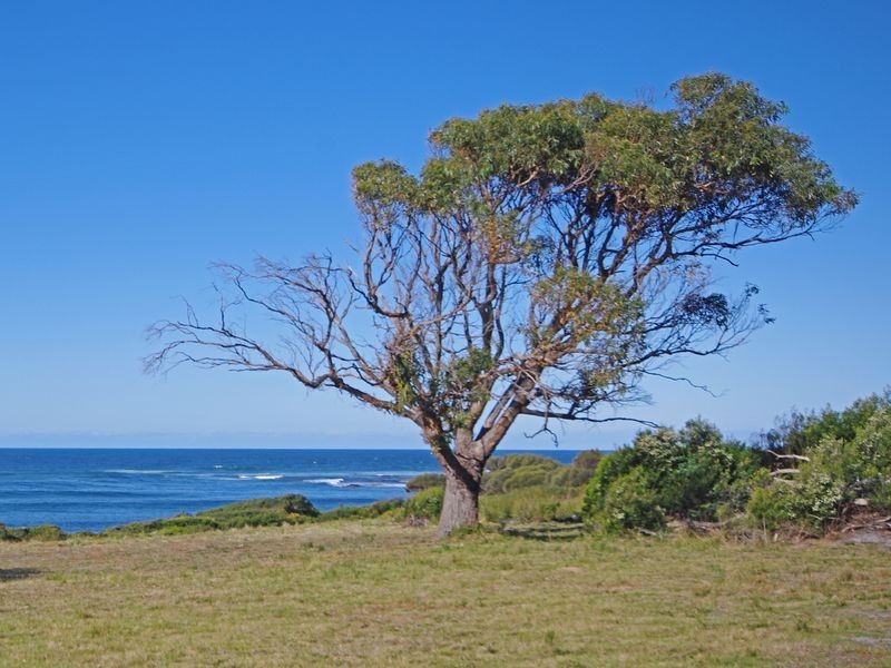 Lot 25 Harveys Farm Road, Bicheno TAS 7215