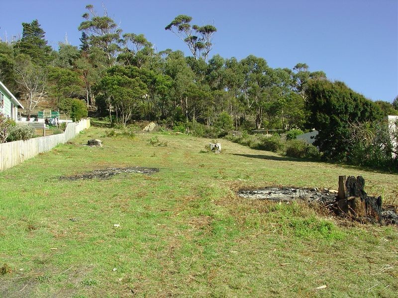 13 Levy Street, Bicheno TAS 7215