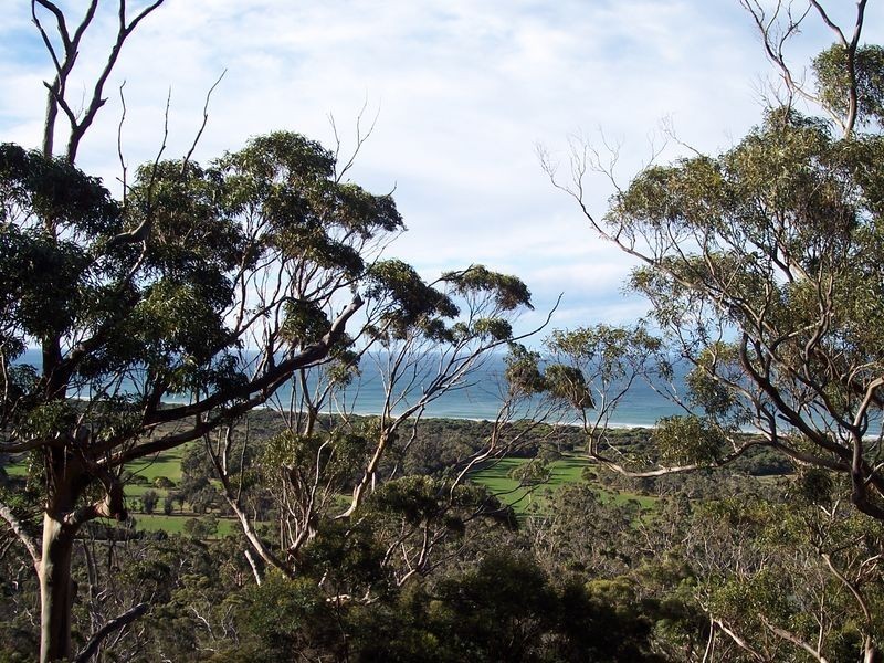 39 Rosedale Road, Bicheno TAS 7215