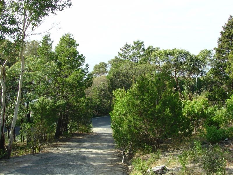 13 The Esplanade, Bicheno TAS 7215