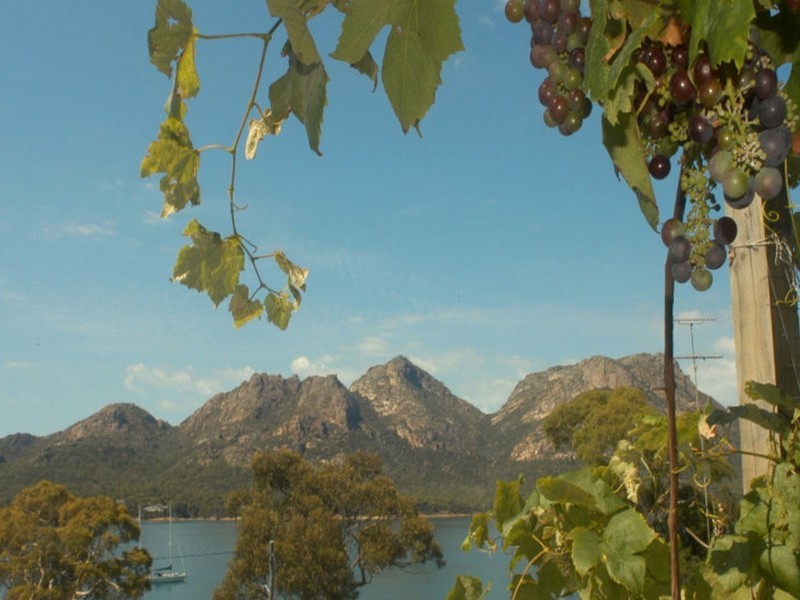 35 Jetty Road, Coles Bay TAS 7215