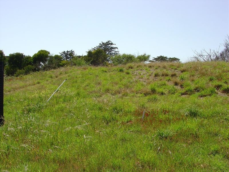 14 Redbill Drive, Bicheno TAS 7215