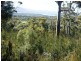 22 Rosedale Road, Bicheno TAS 7215
