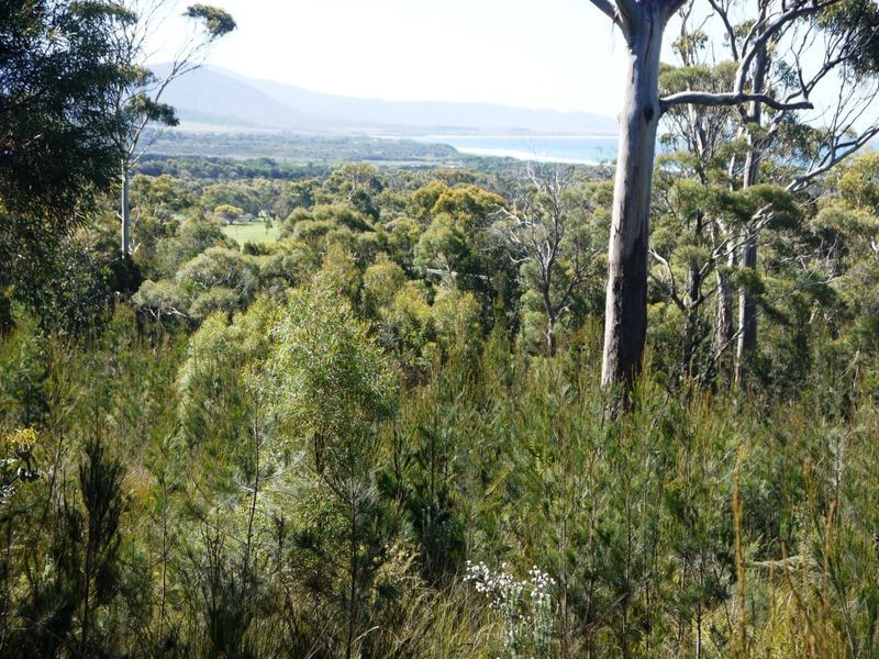 22 Rosedale Road, Bicheno TAS 7215
