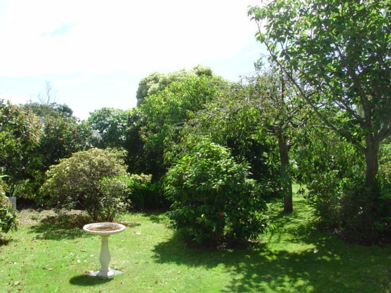 31 Gordon Street, Bicheno TAS 7215