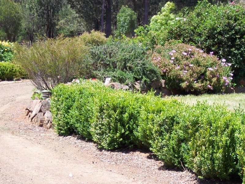 719 Old Coach Road, Swansea TAS 7190