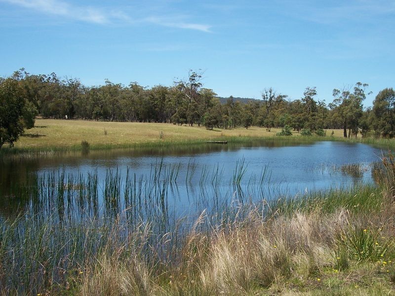 719 Old Coach Road, Swansea TAS 7190